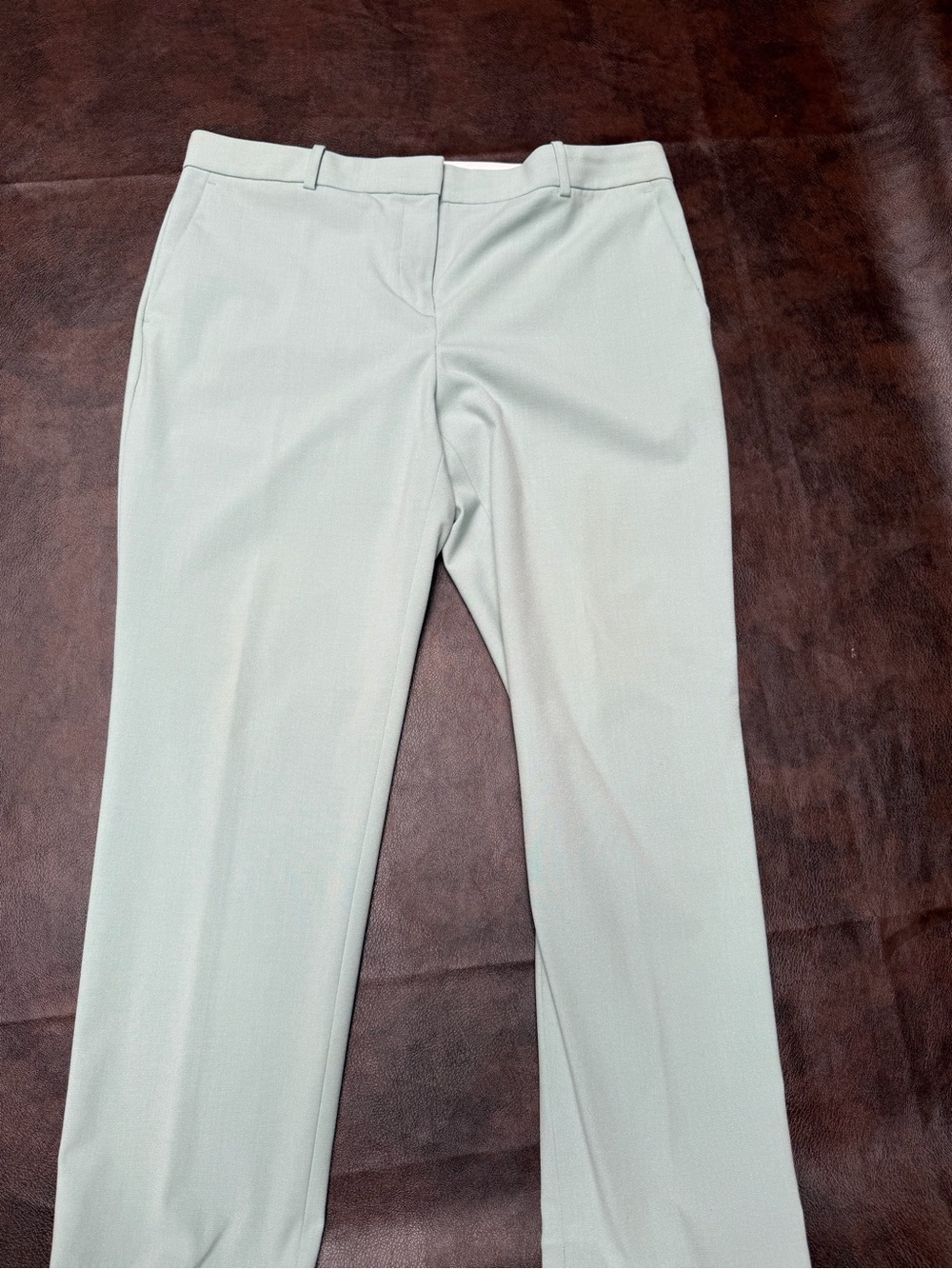 Ann Taylor Mint Green Straight-Leg Trousers 10 petite